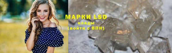 ГАЛЛЮЦИНОГЕННЫЕ ГРИБЫ Алексеевка