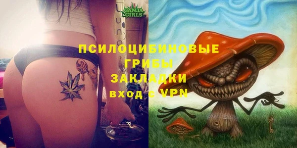 мет Надым